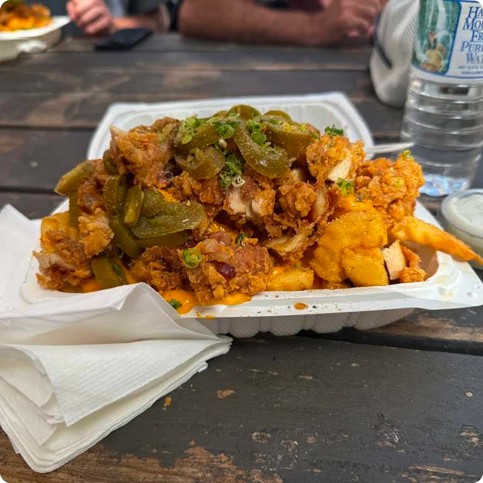 Loaded Fries